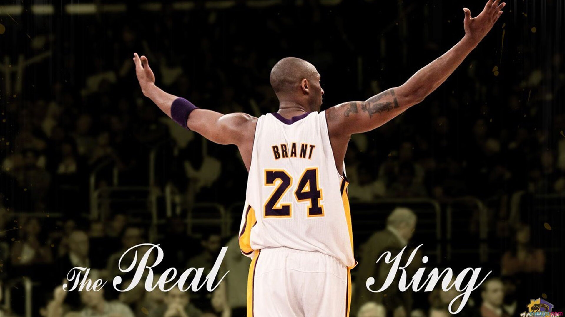 _魔术队士气高涨，逆转强敌_，魔术队队员名单最新